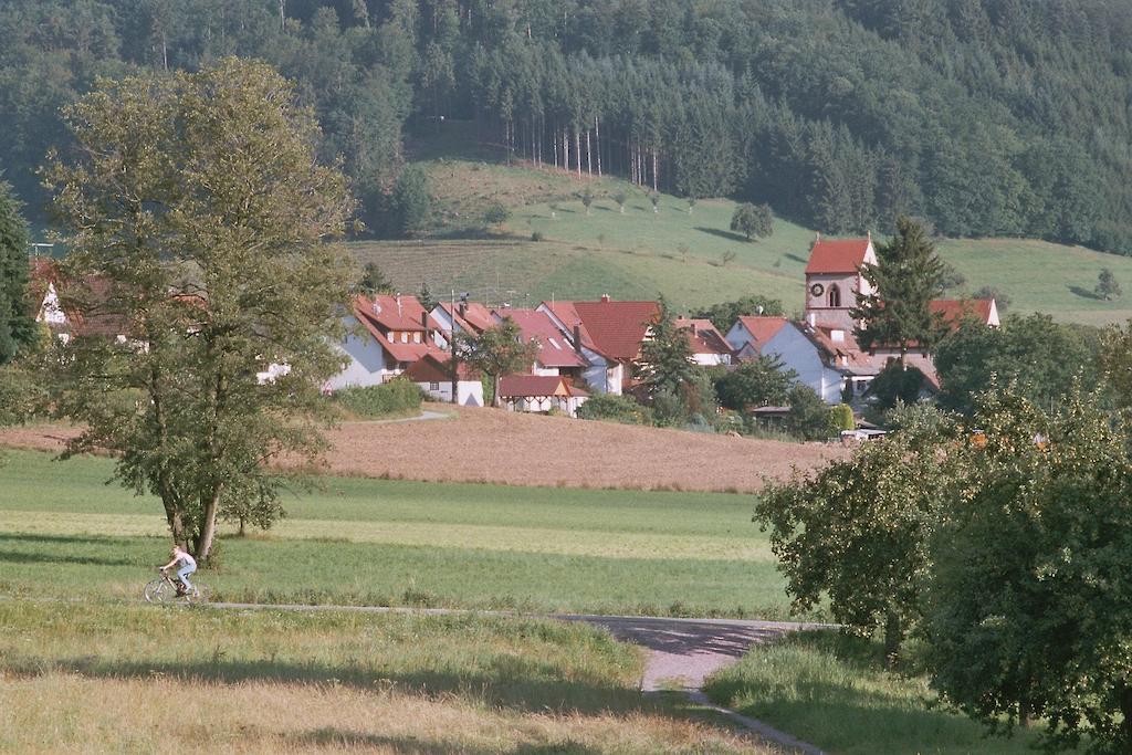 Landgasthof Ochsen Seelbach  Eksteriør billede